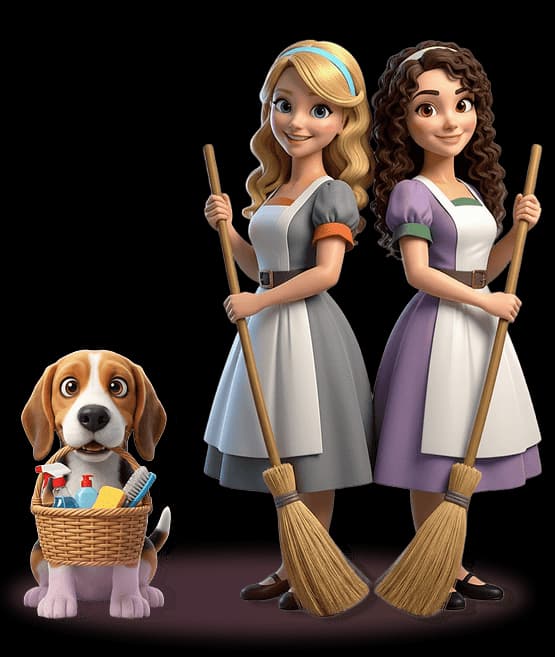 Professional cleaning service